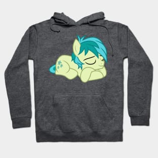 Sleeping Sandbar Hoodie